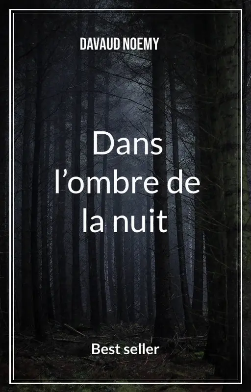 Dans l’ombre de la nuit