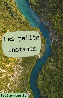 Les petits instants