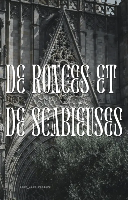 De ronces et de scabieuses