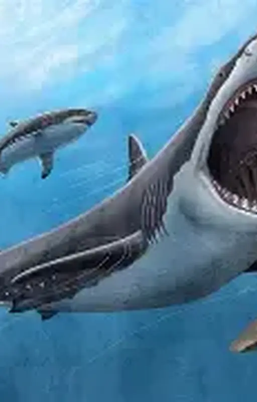 Du mégalodon dans l'air