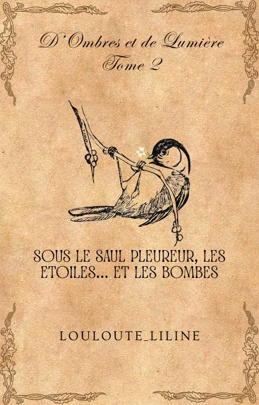Sous le Saul Pleureur, les Étoiles...et les Bombes [D'Ombres et de Lumière, Tome 2]