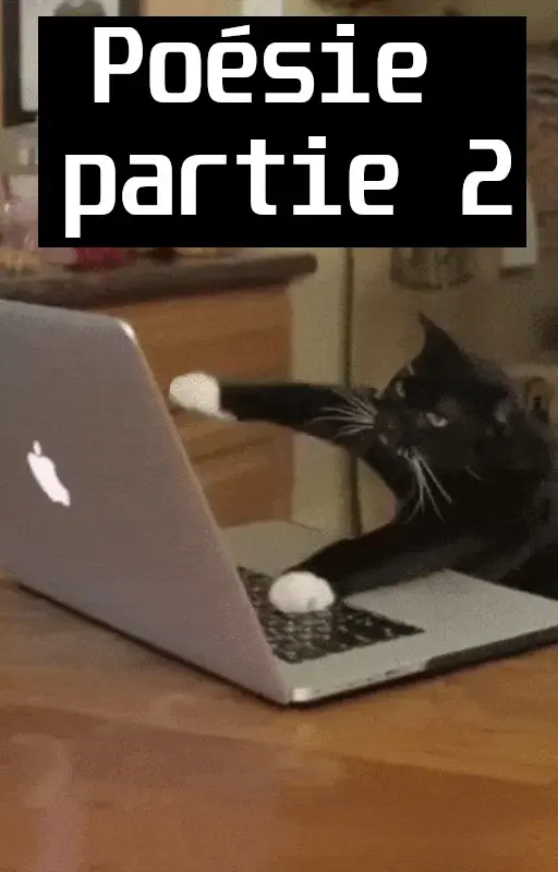 Recueil de poésie partie 2