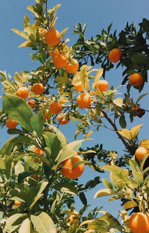 Summer One Shots • Minsung