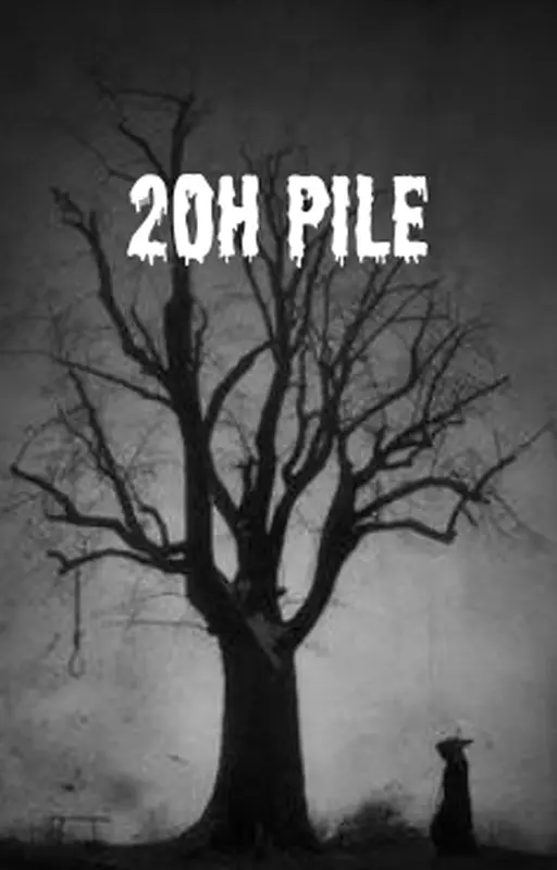 20H pile