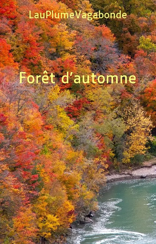 Forêt d’automne