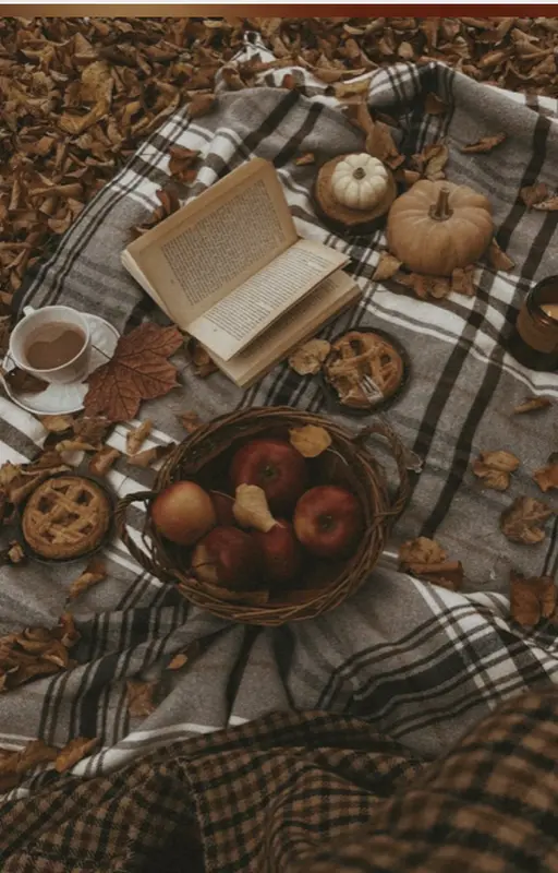 Forêt d’automne