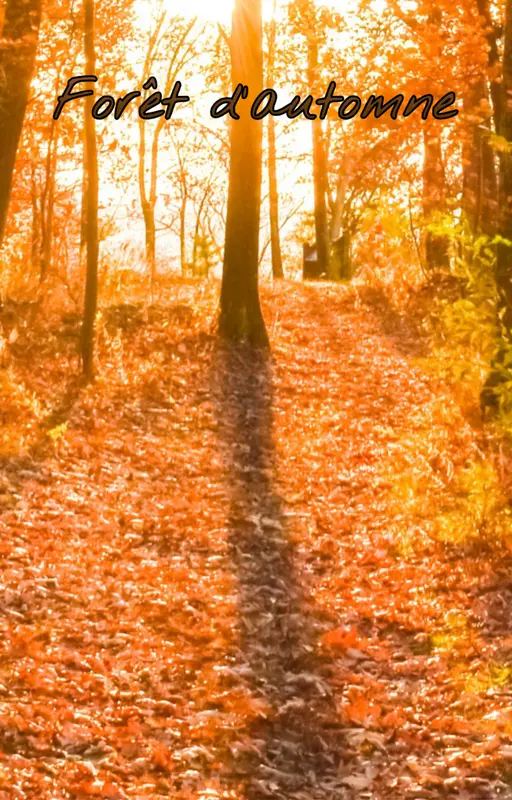 Forêt d’automne