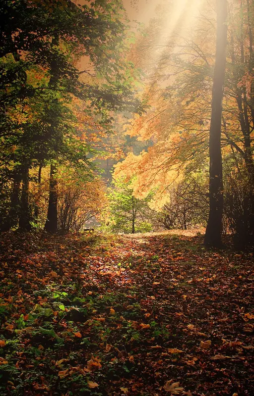 Paysage intérieur