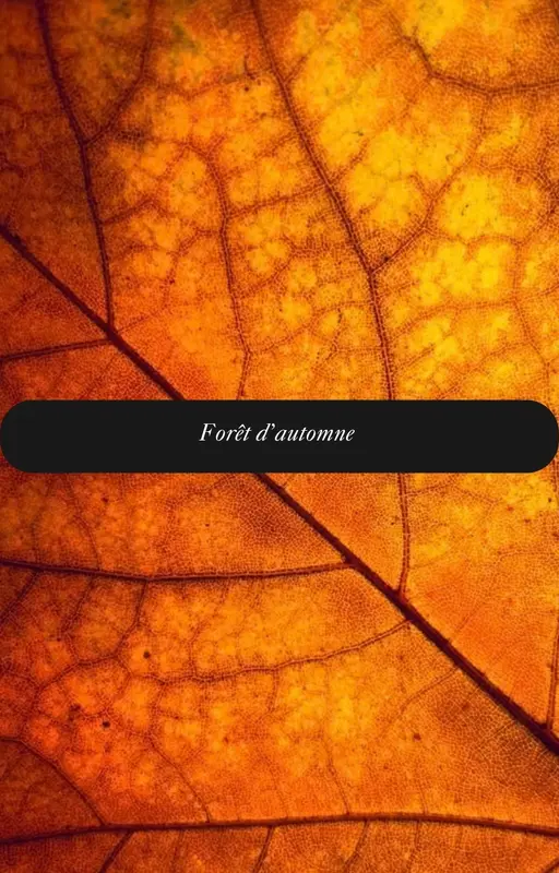 Forêt d’automne