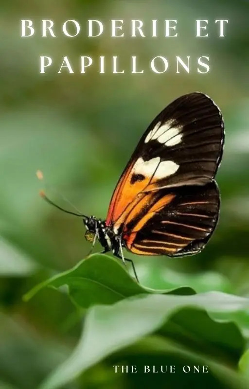 Broderie et papillons