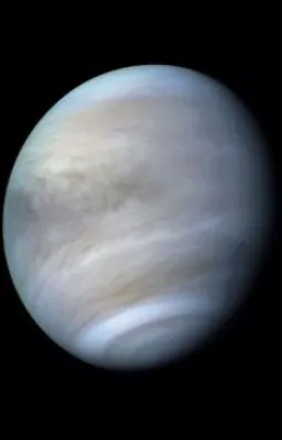 La forêt sous les étoiles