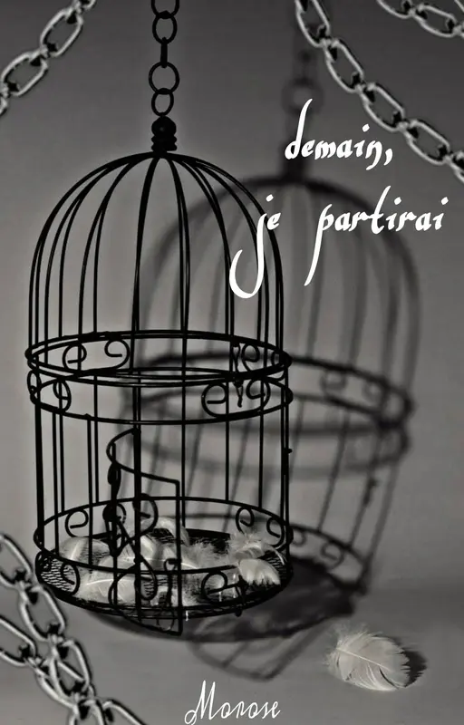 Demain, je partirai.