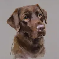 MlleLiz