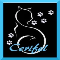 Cerifel